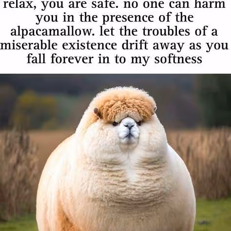 Alpacamallow