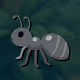 Alice the Ant