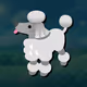 Dude its the Poodle