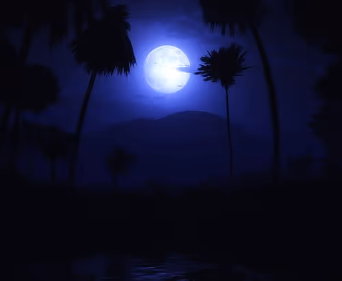 Mokkko