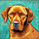 Dastoral Dog