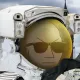 Non-Playable Custom #68274