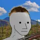 26294