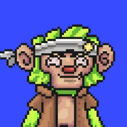 Wonkey #2332