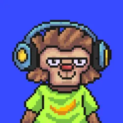 Wonkey #2163