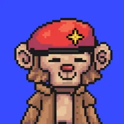 Wonkey #2461