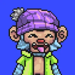 Wonkey #2333
