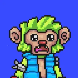 Wonkey #2331