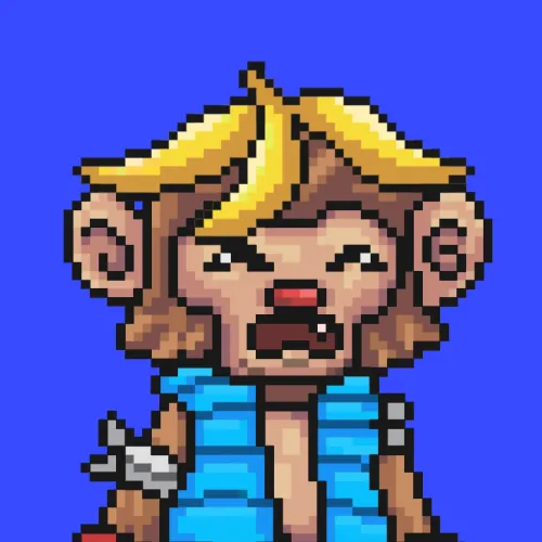 Wiswonkey