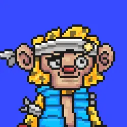 Wonkey #218