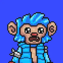 Wonkey #2339
