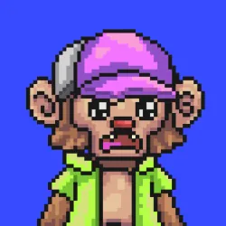 Wonkey #327