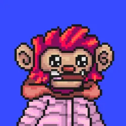 Wonkey #2439