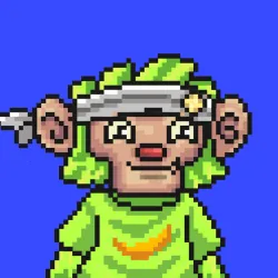 Wonkey #375