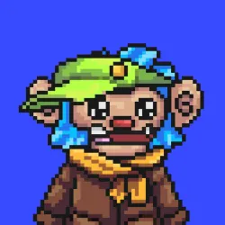 Wonkey #334