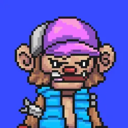 Wonkey #380