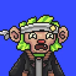 Wonkey #2146