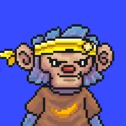 Wonkey #1796