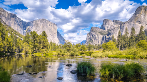 Yosemite Park #41