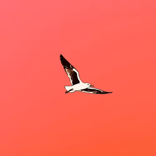 Sunburn - Limited #2