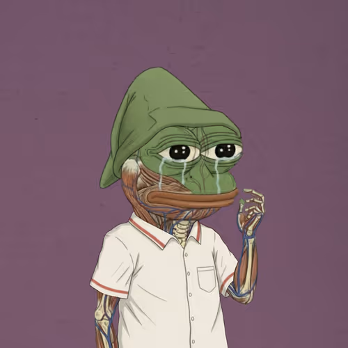 The Anatomy Of Pepe