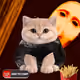 3114