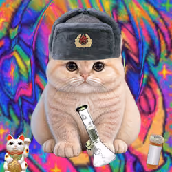3372