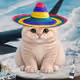 3555
