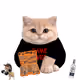 Base Cat #3341