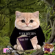 Base Cat #2903