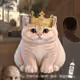 3128