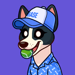 Basenji #885