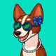 Basenji #2897