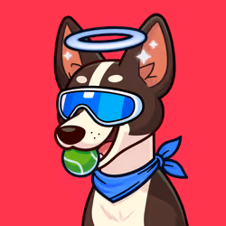 Basenji #163