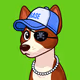 Basenji #2462