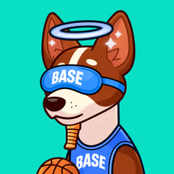 Basenji #2849