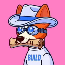 Basenji #871