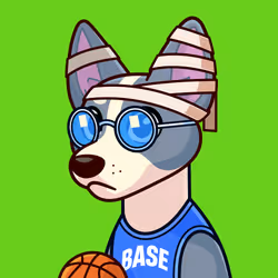 Basenji #573