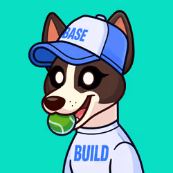 Basenji #554