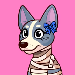 Basenji #958