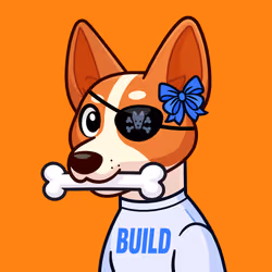 Basenji #1562