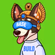 Basenji #73