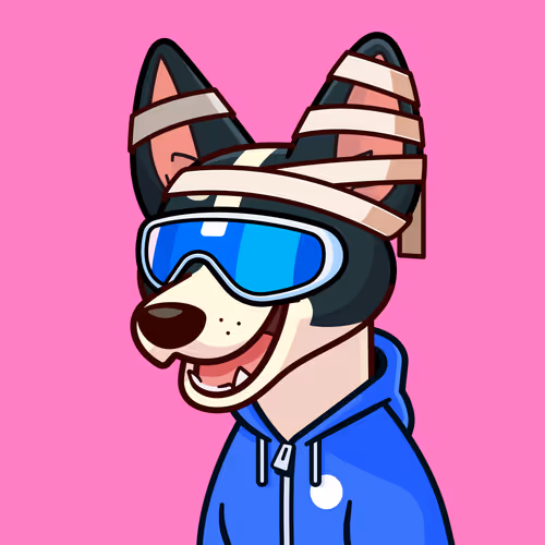 Basenji #2388