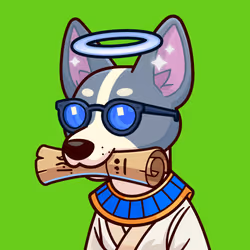 Basenji #145