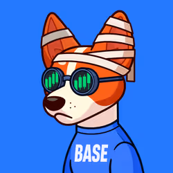 Basenji #17