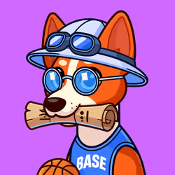 Basenji #2336