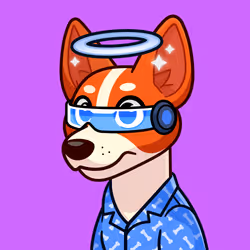 Basenji #2905