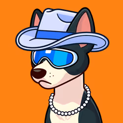 Basenji #132