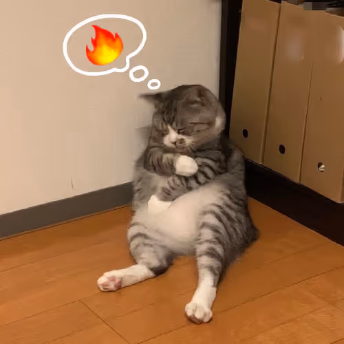 Dontfomeow