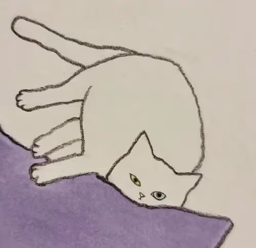 Dontfomeow